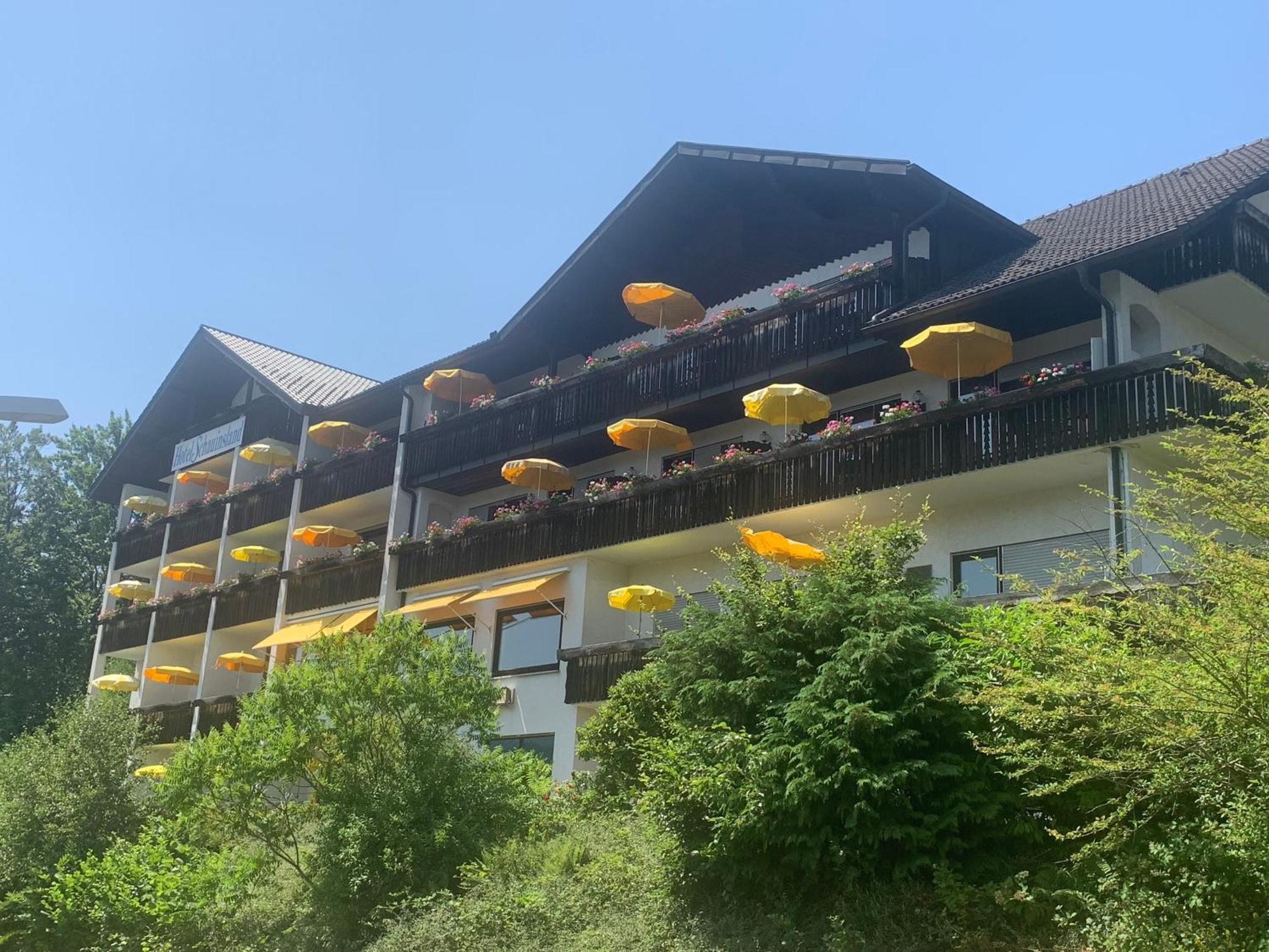 Hotel Schauinsland Бад-Петерсталь-Грисбах Экстерьер фото